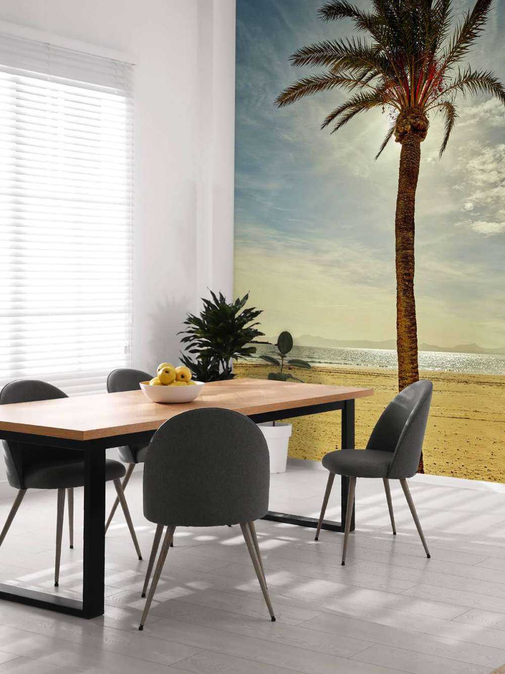 Palmboom in de zon