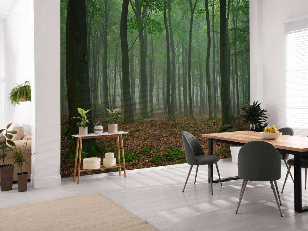 Mist in het bos