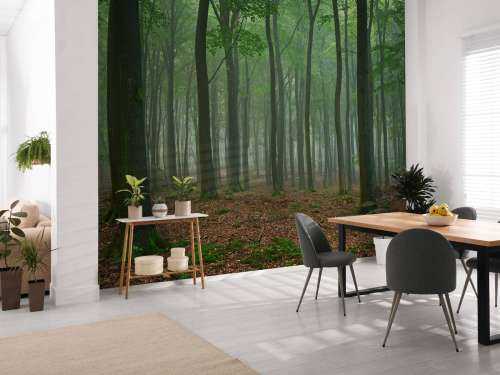 Mist in het bos