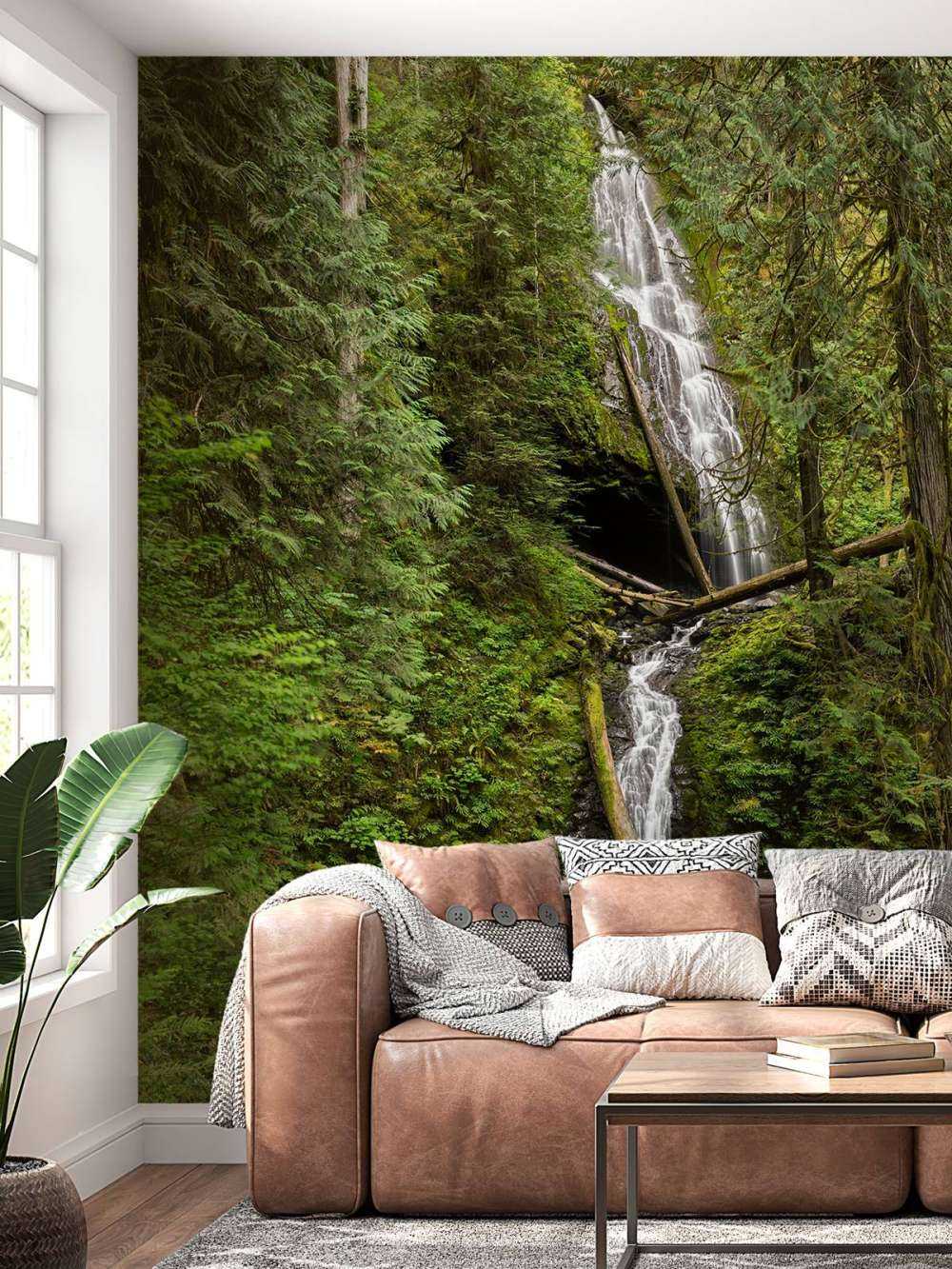 Waterval met omgevallen bomen