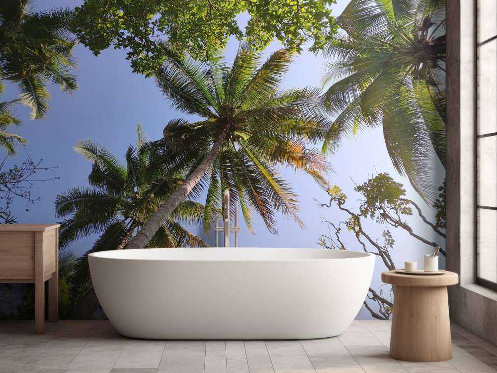 Palmbomen van onderaanzicht