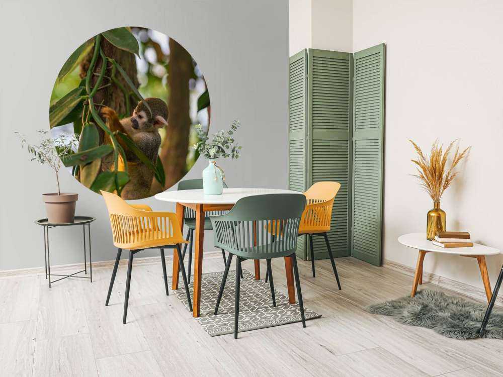 Kleine aap in de bomen