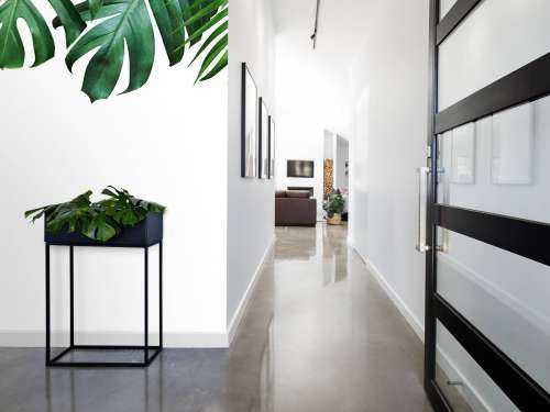 Tropische planten