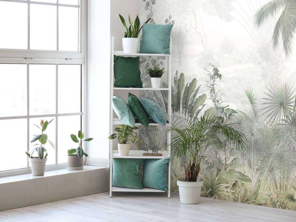 Mistige Jungleochtend