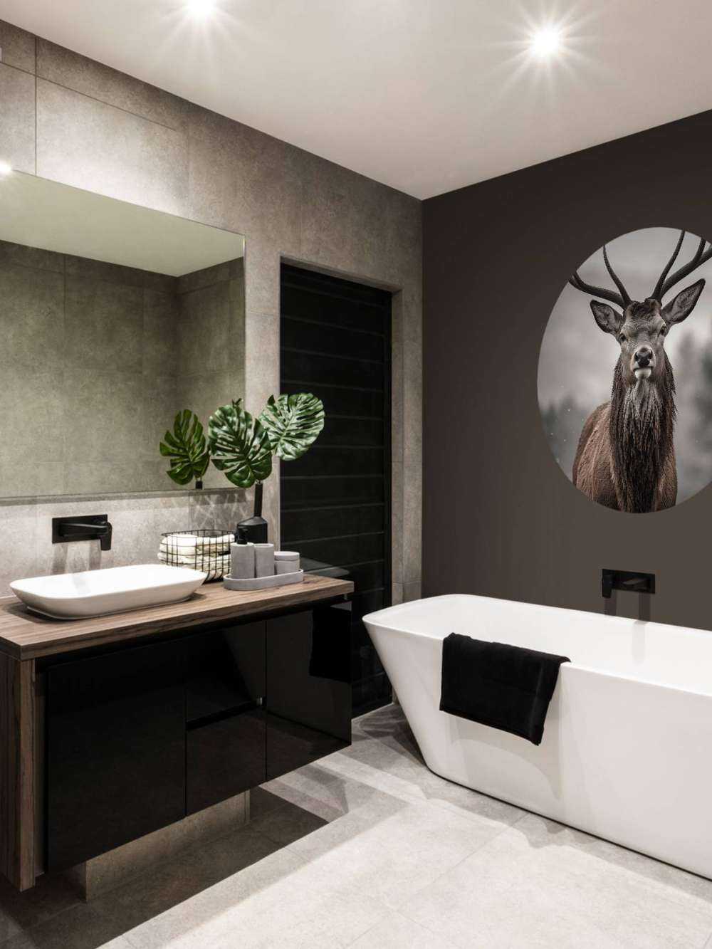 Winterkoning Herteblik