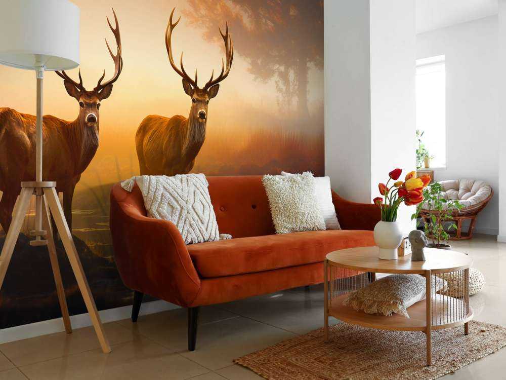 Ochtendglorie Hertenpracht