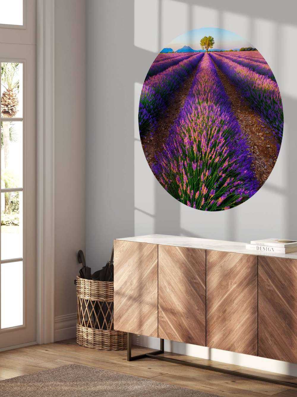 Lavendel bij zonlicht