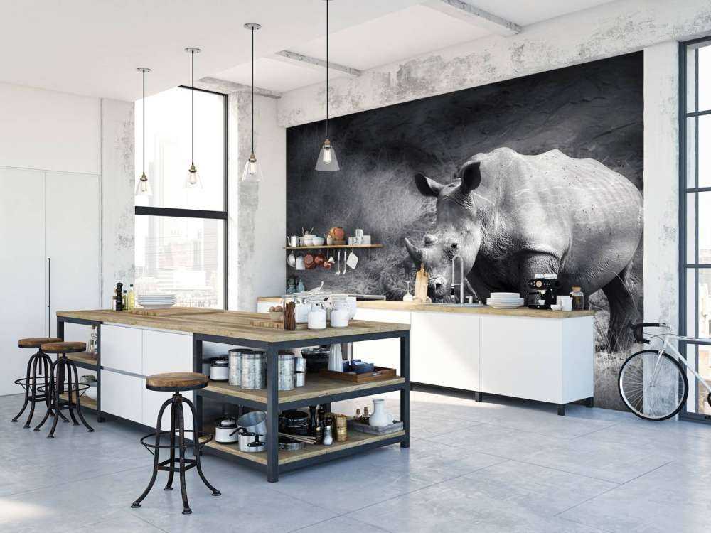Neushoorn