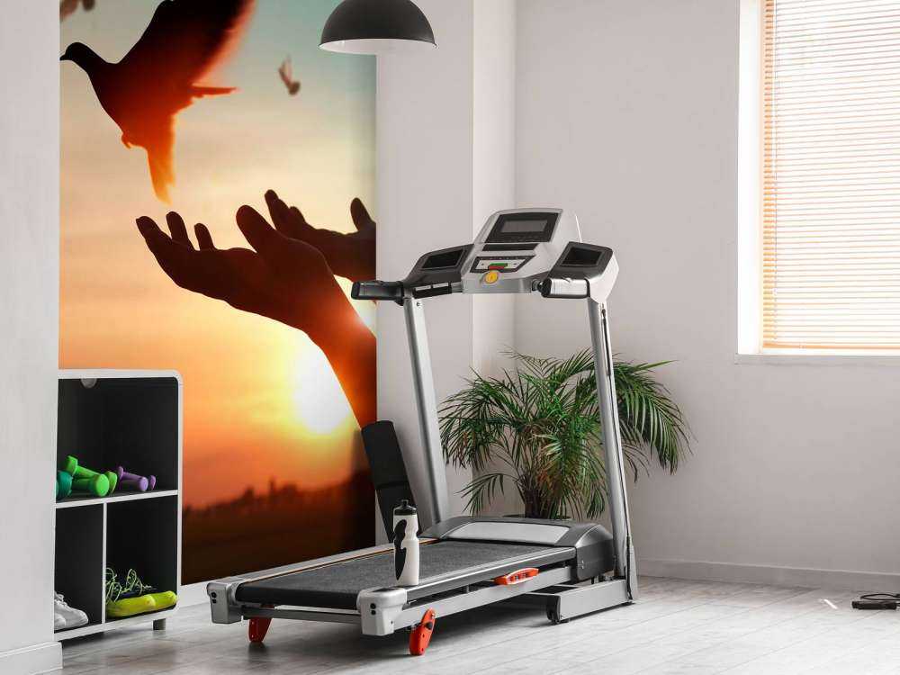 Duif bij zonsondergang