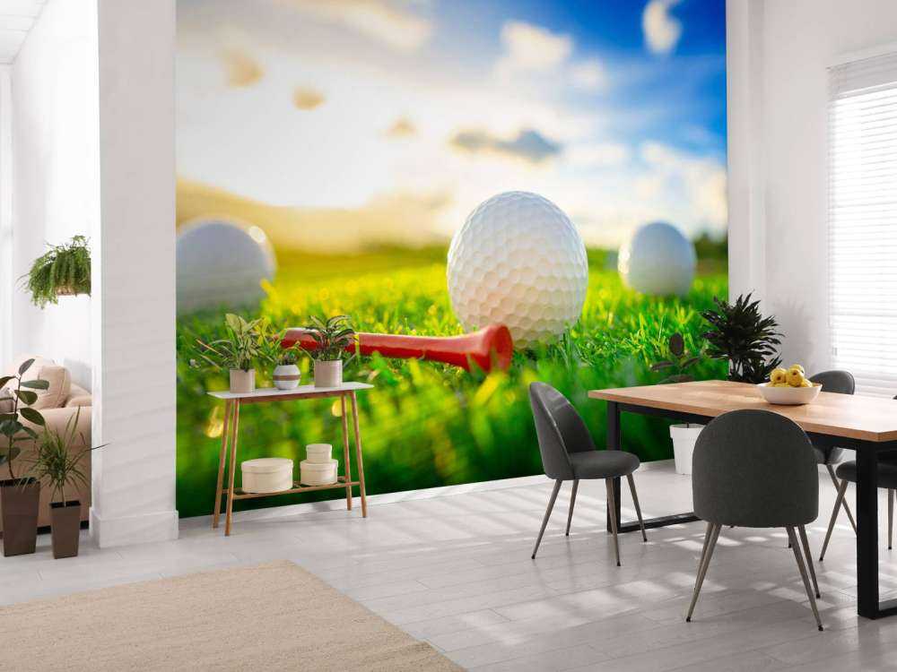 Golfballen met houder op kunstgras
