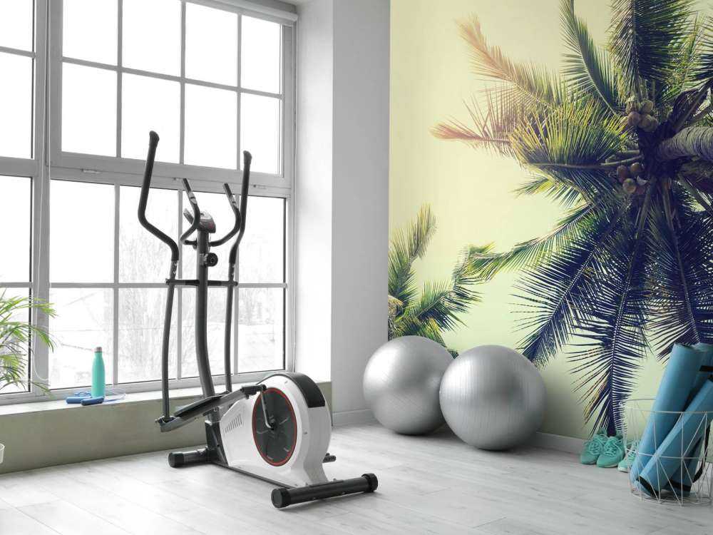 Palmboom Bladeren Vintage