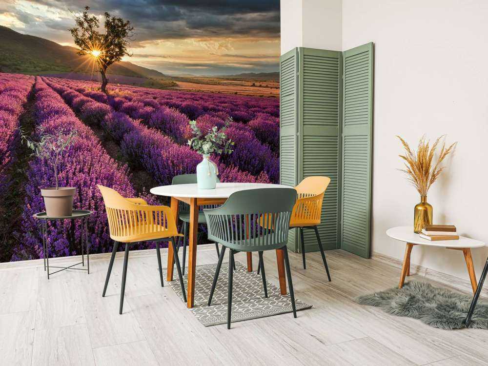 Prachtig landschap met lavendel veld bij zonsopkomst