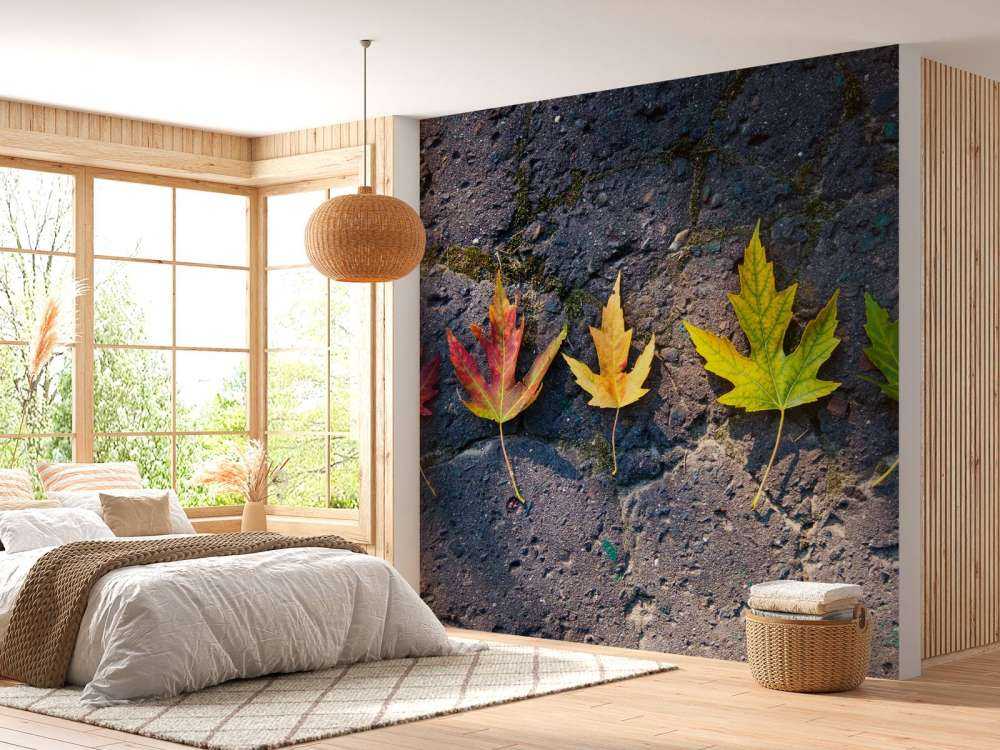 Kleurrijke bladeren in de herfst