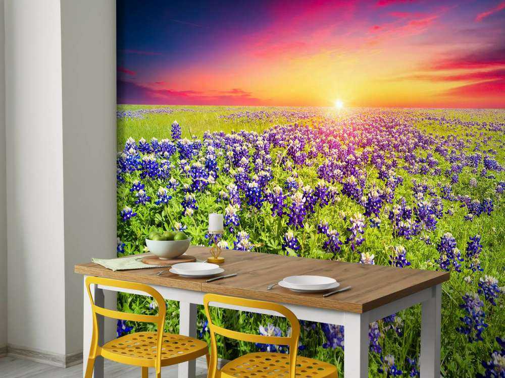 Bluebonnets met mooie Zonsondergang