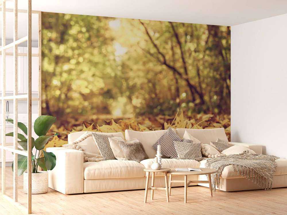 Bladeren in het Bos tijdens de Herfst