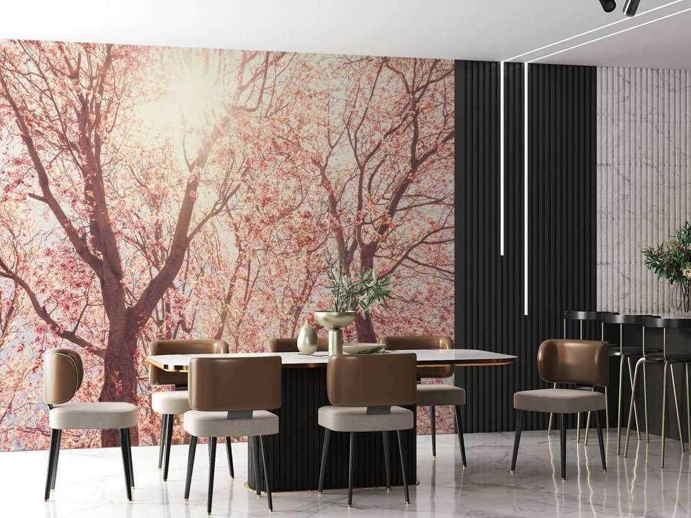 Boom Bloesem met Zon op Achtergrond