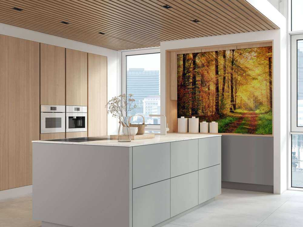 Zonsopkomst in het bos