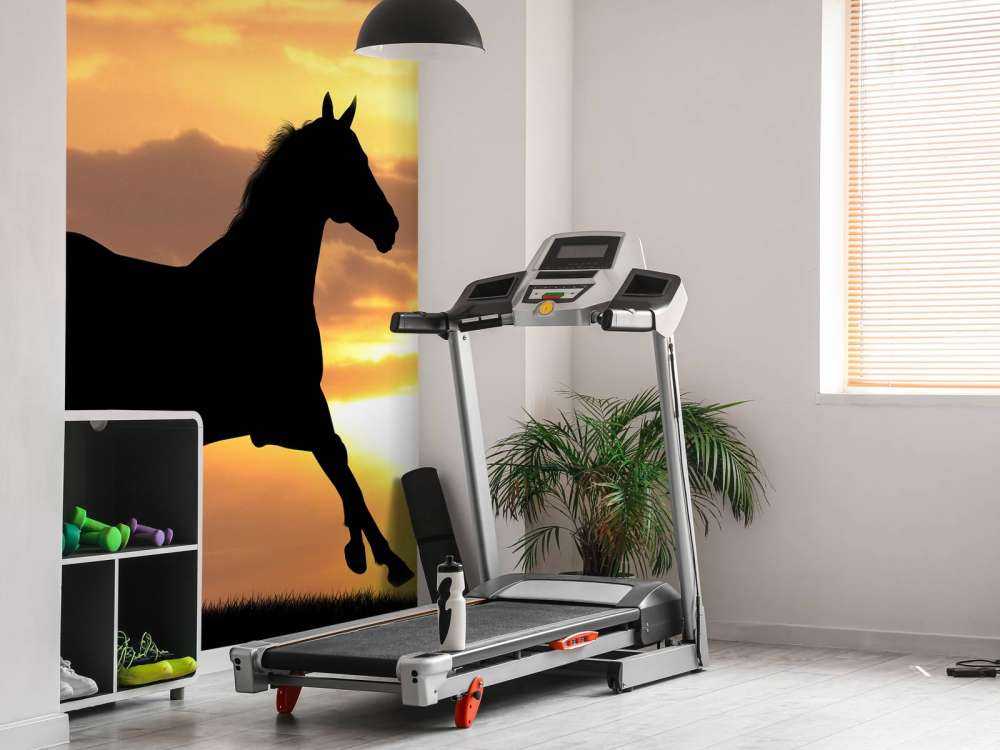 Paard tijdens Zonsondergang