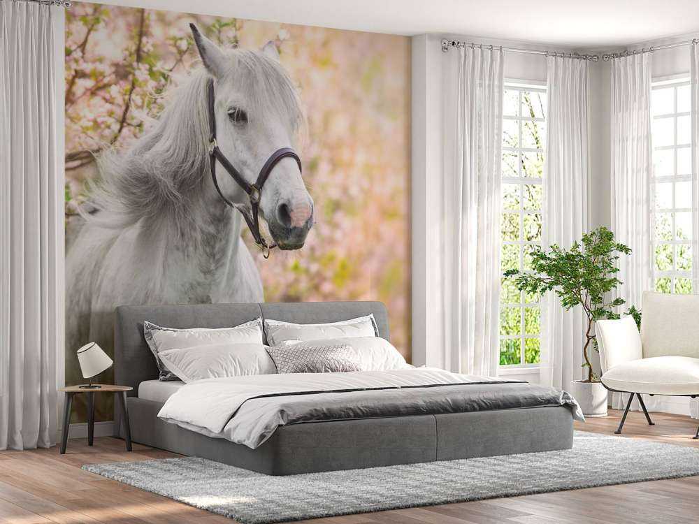 Wit Paard met Bloesem in Lente