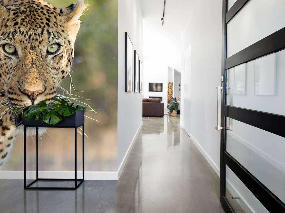 Portret Luipaard in Zuid-Afrika