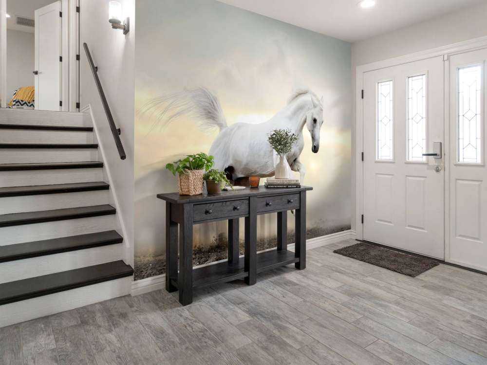 Arabische Hengst in het stof