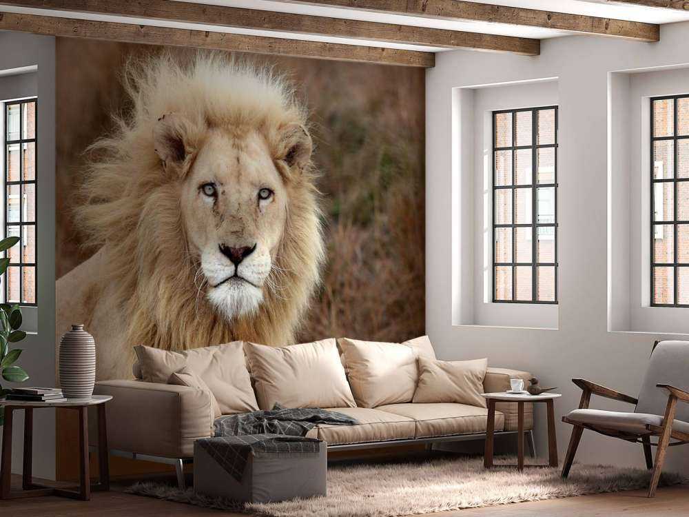 Harige Leeuw in de natuur