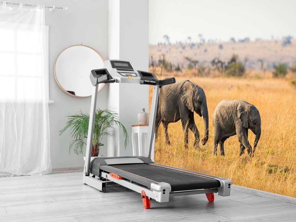 Olifant en Baby Olifant in Afrika