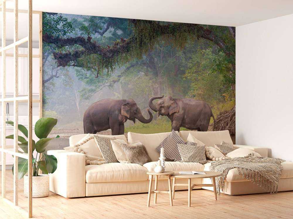 Aziatische olifanten in een rivier