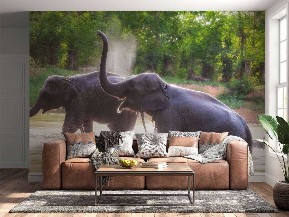 olifanten spelen in het water