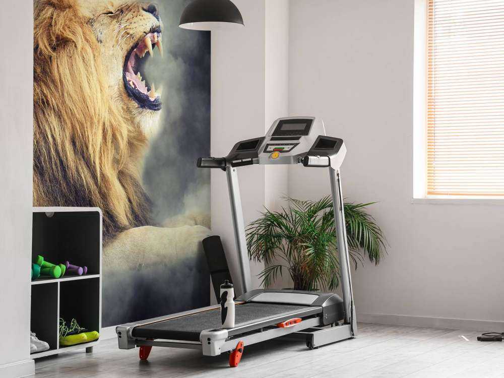 Leeuw in rook met een donkere achtergrond