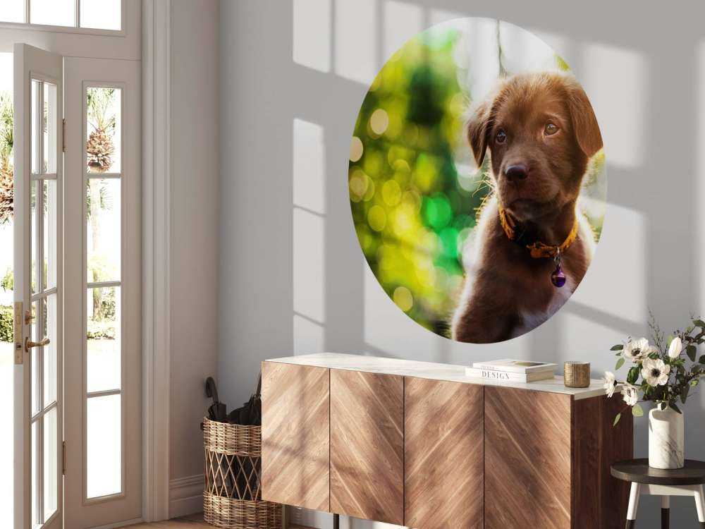 Bruine labrador met een wazige achtergrond