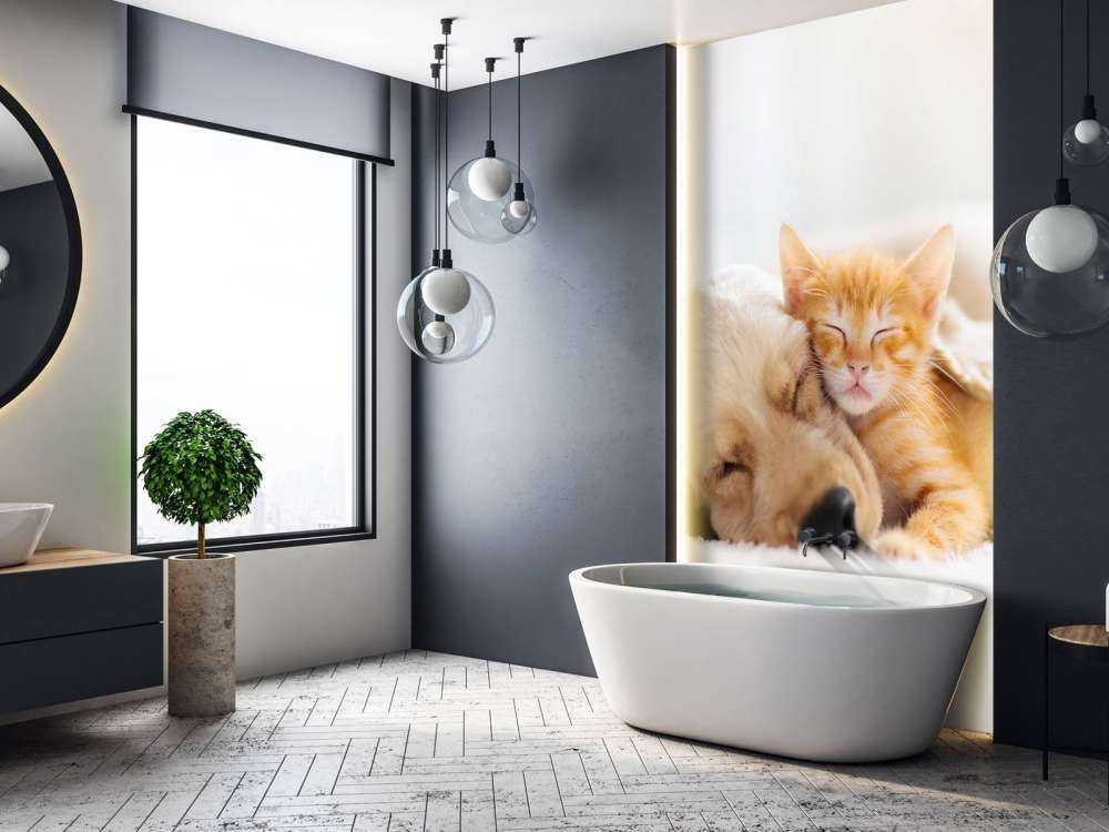 Hond en kat slapen knuffelend