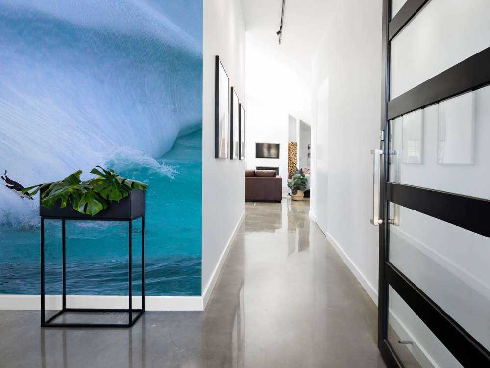 Pinguïns glijden van een helling af