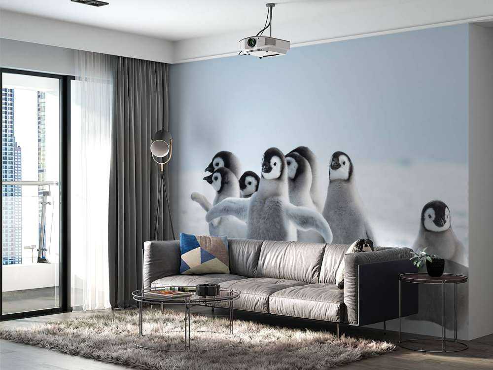 Keizerspinguïns in de sneeuw