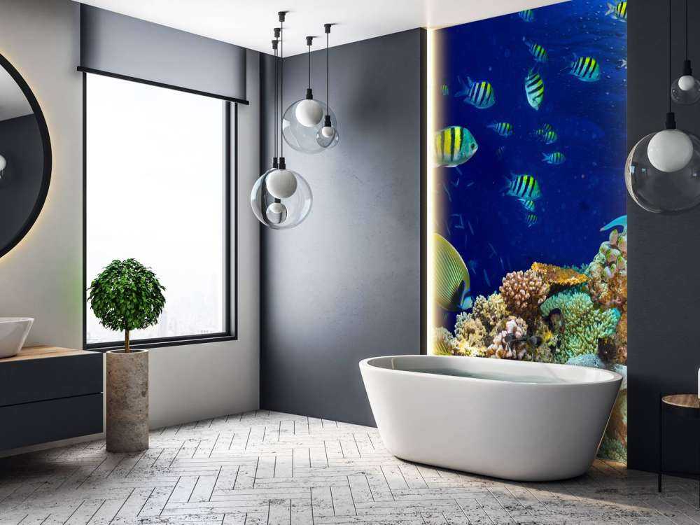 Zeeleven bij een koraalrif