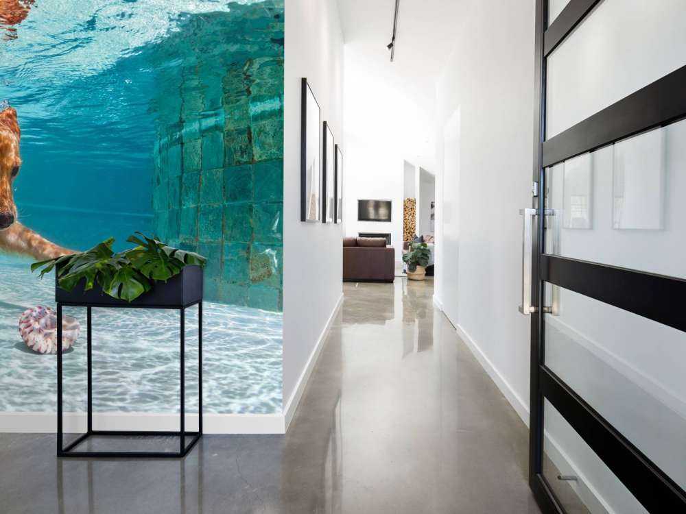 Labrador speelt onderwater