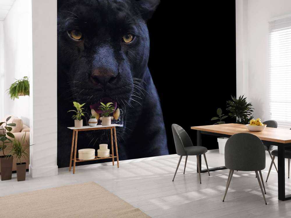 Panter met een zwarte achtergrond