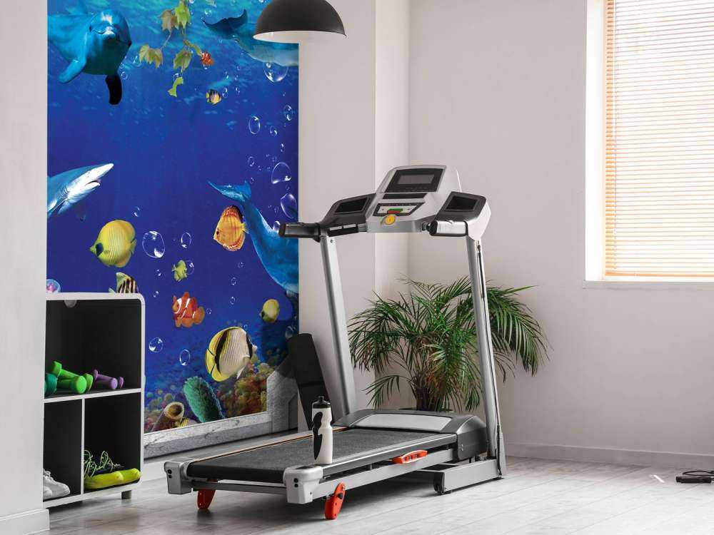 Dolfijnen door de muur