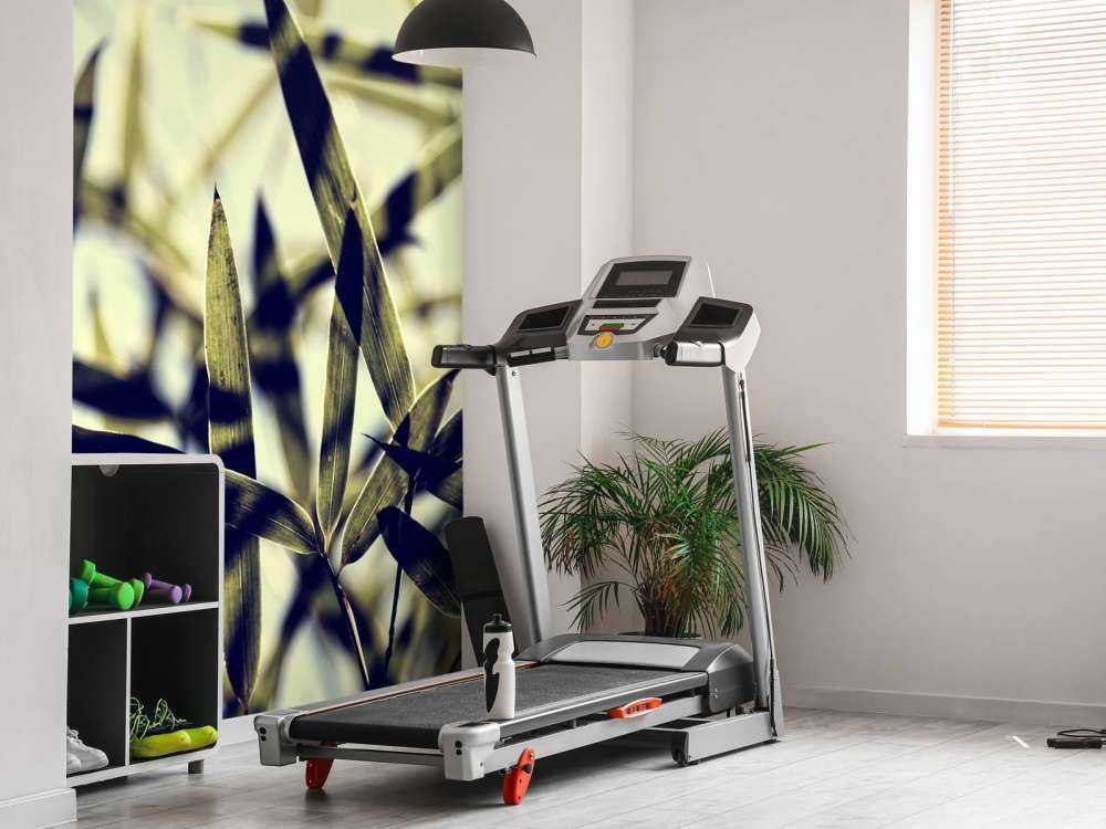 Bamboe bladeren in de zon