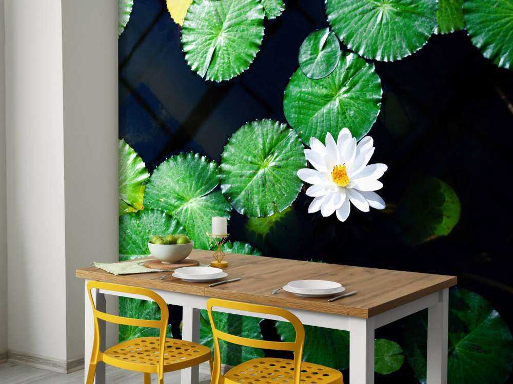 Opvallende witte kleine lotusbloem