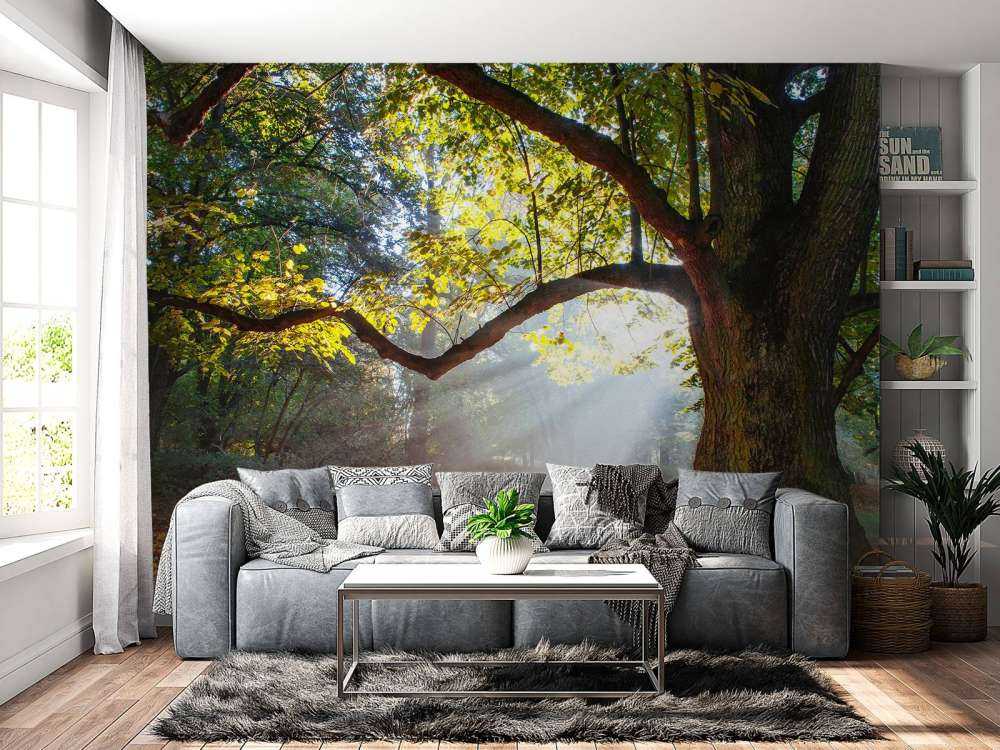 Mooie Eik in het Bos