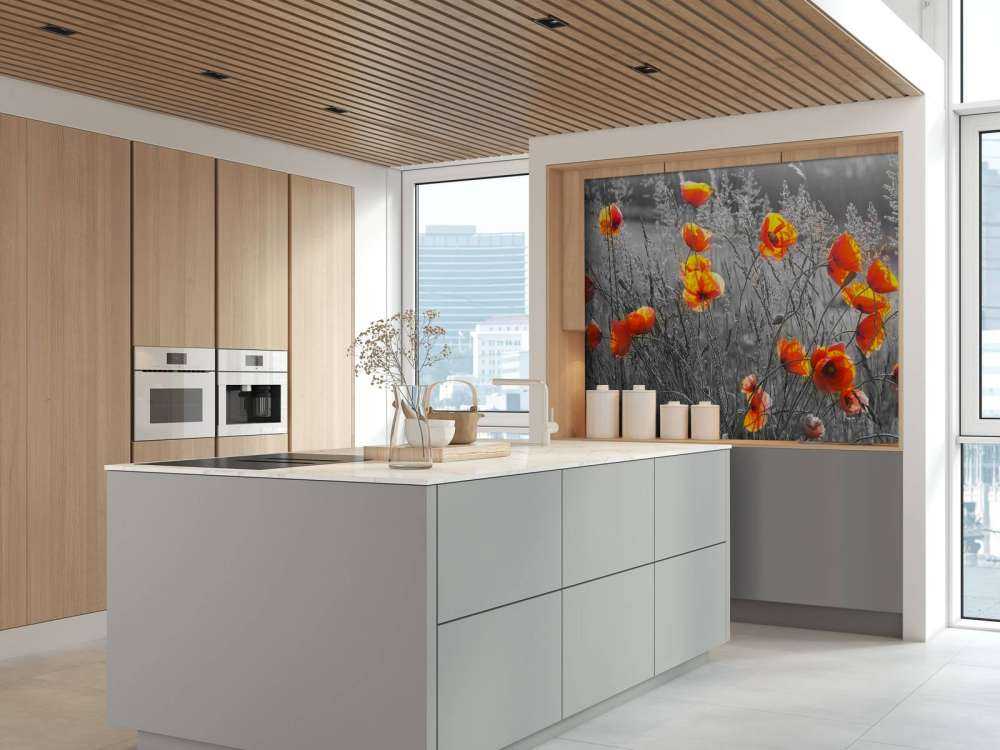 Oranje klaprozen met een zwart-witte achtergrond