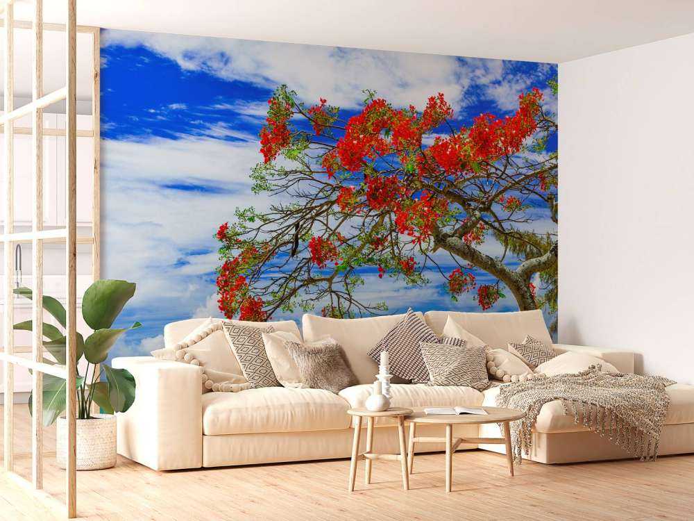 Rode flamboyant boom op het strand