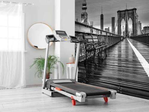 Brug in New York