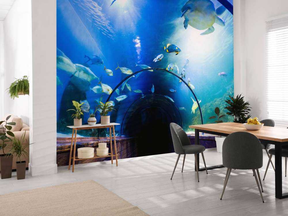 Bijzondere onderwater tunnel