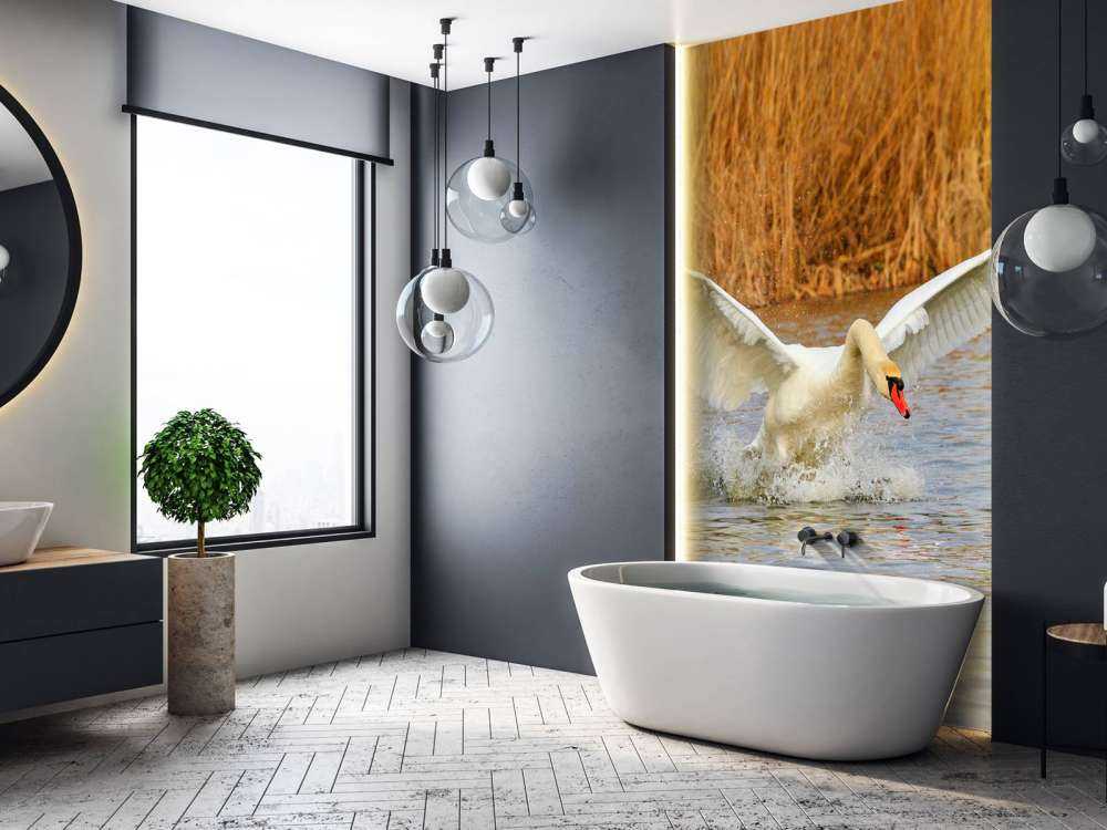 Witte zwaan vliegt weg