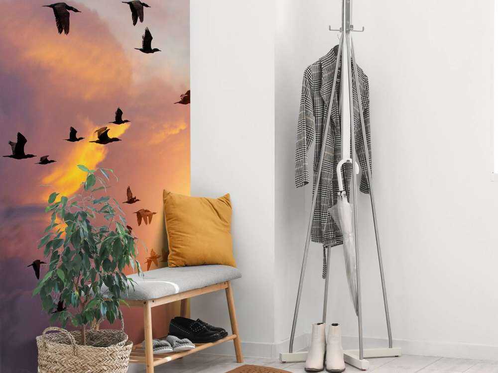 Vliegende aalscholvers bij zonsondergang