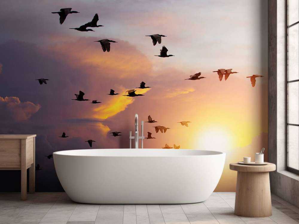 Vliegende aalscholvers bij zonsondergang