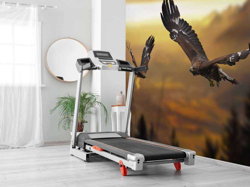 Adelaars in de Alpen