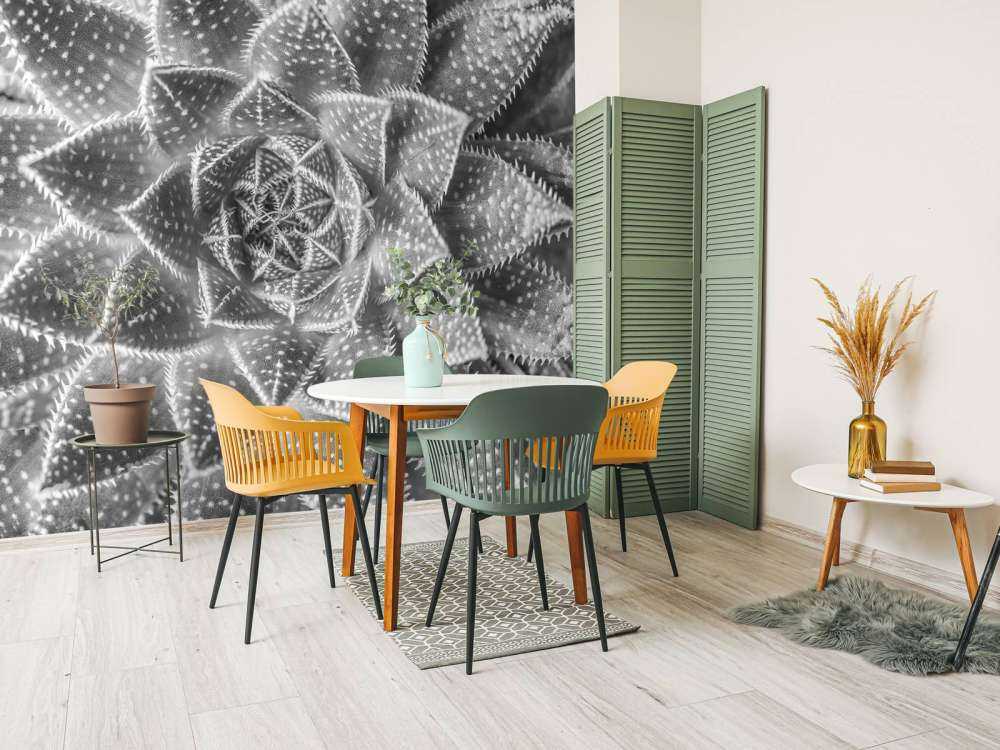 Close-up vetplant in zwart-wit